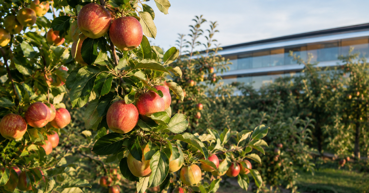 El huerto de Apple Park nació del empeño de Steve Jobs por recuperar el paisaje de California